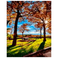 Картина по номерам Strateg Прогулка осенью GS964 50 x 40 см / Вертикальная