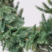 Еловая ветка DiviTrees Garland Premium / Зеленый photo 2