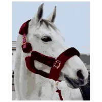 Pictură pe numere Strateg Sufletul Prerilor DY382 50 x 40 cm / Verticală