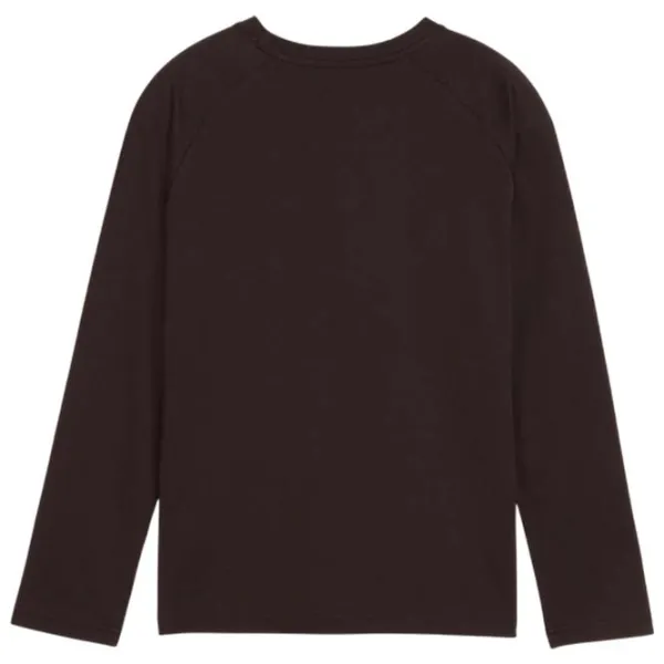 Футболка с длинными рукавами для мужчин Puma Active Sports Longsleeve Tee B Спорт / Черный photo 2