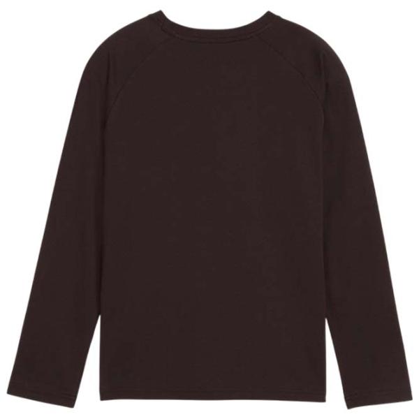 Футболка с длинными рукавами для мужчин Puma Active Sports Longsleeve Tee B Спорт / Черный photo 2
