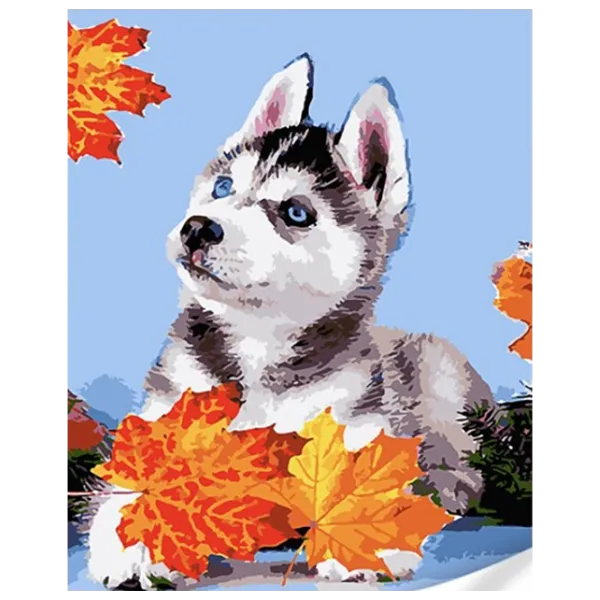 Pictură pe numere Strateg Husky în frunze GS1628 50 x 40 cm / Verticală photo 1 Pictură pe numere Strateg Husky în frunze GS1628 50 x 40 cm / Verticală photo 1