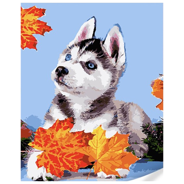 Pictură pe numere Strateg Husky în frunze GS1628 50 x 40 cm / Verticală photo 1 Pictură pe numere Strateg Husky în frunze GS1628 50 x 40 cm / Verticală photo 1