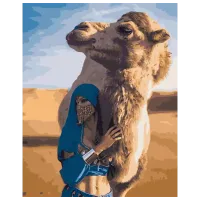 Картина по номерам Strateg Верблюд в Сахаре GS199 50 x 40 см / Вертикальная