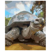 Картина по номерам Strateg Черепаха GS582 50 x 40 см / Вертикальная