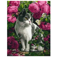 Картина по номерам Strateg Розы и кот GS1038 50 x 40 см / Вертикальная