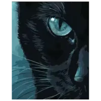 Pictură pe numere Strateg Privire rece DY305 50 x 40 cm / Verticală