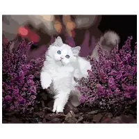 Pictură pe numere Strateg Pisica cu ochi albaștri GS1606 50 x 40 cm / Orizontală