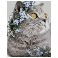 Картина по номерам Strateg Британец в цветах GS919 50 x 40 см / Вертикальная