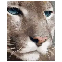 Pictură pe numere Strateg Puma GS1334 50 x 40 cm / Verticală