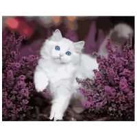 Картина по номерам Strateg Котик с голубыми глазами GS1009 50 x 40 см / Горизонтальная