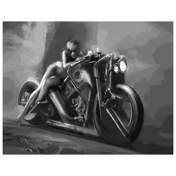 Pictură pe numere Strateg Fata pe motocicletă DY207 50 x 40 cm / Orizontală photo 1