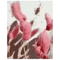 Pictură pe numere Strateg Urechi roz DY395 50 x 40 cm / Verticală