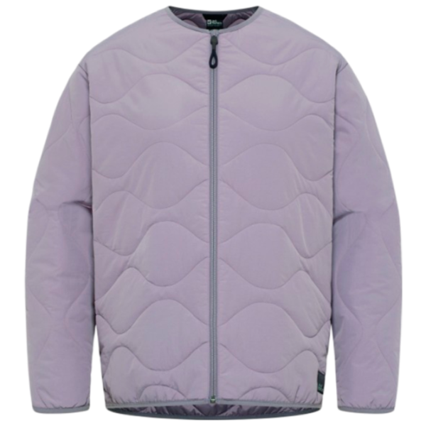 Scurtă pentru femei Jack Wolfskin Wandersome Insulated Primăvară - vară / Taupe photo 1