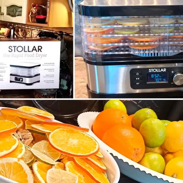 Uscător de alimente Stollar DHS600 400 W / Black-Silver photo 4