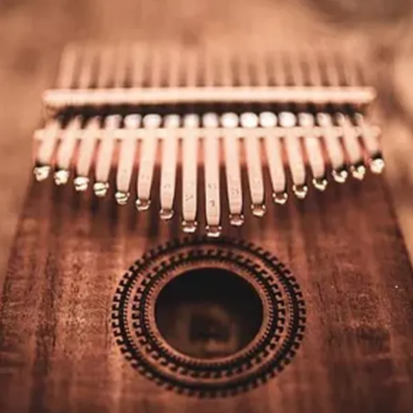 Калимба Meinl KL1707H  Металл / 17 photo 2