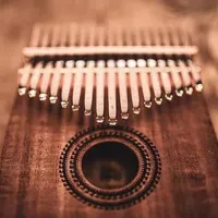 Калимба Meinl KL1707H Металл / 17 photo 2