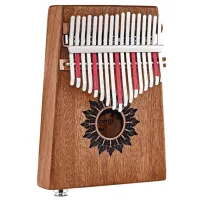 Калимба Meinl PKL1708H Металл / 17 photo 5