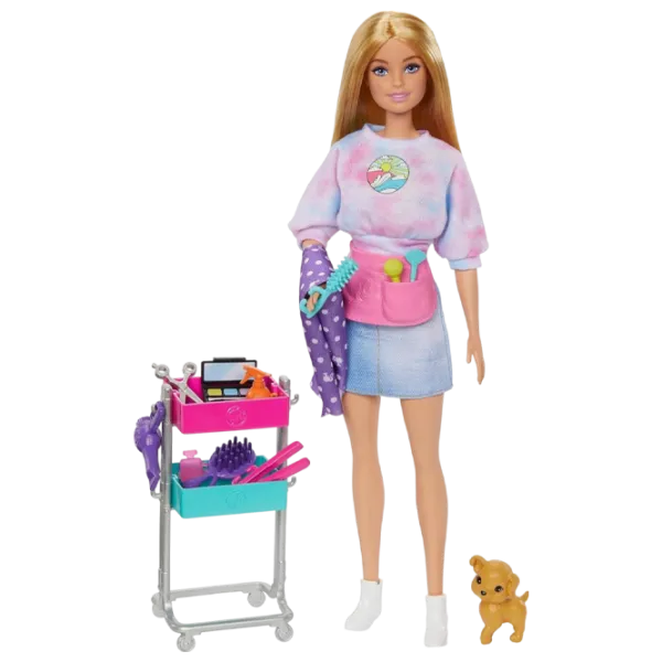 Păpușă Barbie Malibu HNK95 model / 3+ photo 1