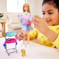 Кукла Barbie Malibu HNK95 модель / 3+ photo 7