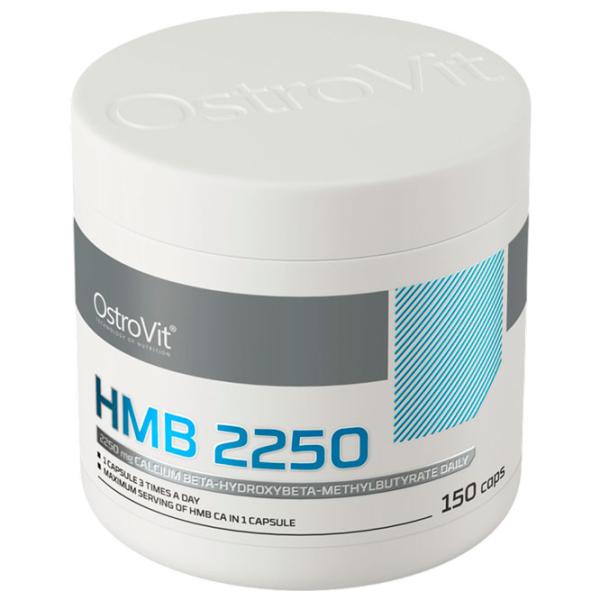 Aminoacizi OstroVit HMB 2250 (5903933910970) 750 g  photo 2 Aminoacizi OstroVit HMB 2250 (5903933910970) 750 g  photo 2