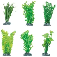 Растения Flamingo Fiji Количество в наборе - 6