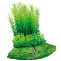 Plante Flamingo BUSH Cantitatea în set - 1