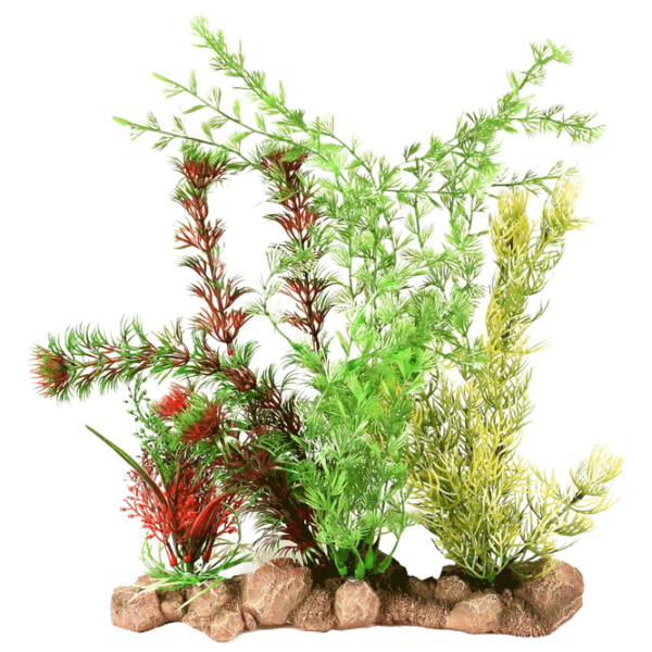 Растения Flamingo Umbra Aquarium Plant Количество в наборе - 1 photo 1