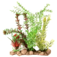 Растения Flamingo Umbra Aquarium Plant Количество в наборе - 1