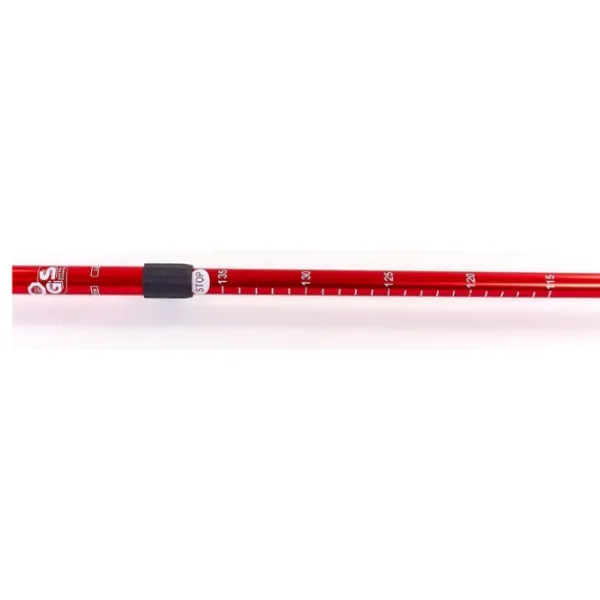 Bețe de mers nordic Arenasport 91054  Aluminiu / 1100 mm photo 2