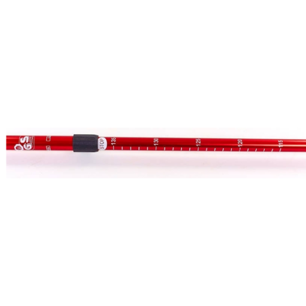 Bețe de mers nordic Arenasport 91054  Aluminiu / 1100 mm photo 2