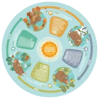 Puzzle Hape Four Seasons 3+/ Количество деталей: 16 photo 2