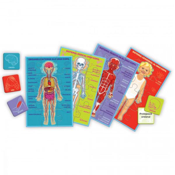 Joc educativ Trefl Human body 3+/ Dezvoltare photo 2