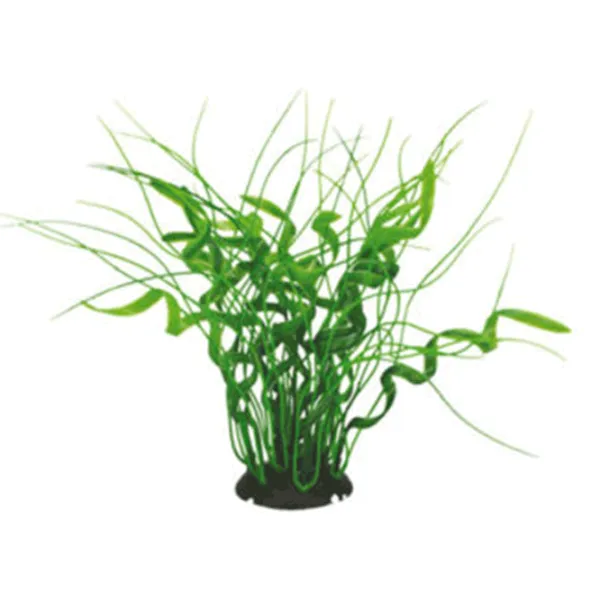 Plante Aquael CP-035 Cantitatea în set - 1 photo 1 Plante Aquael CP-035 Cantitatea în set - 1 photo 1