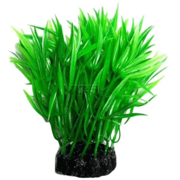 Plante Aquael PR-410 Cantitatea în set - 1 photo 1 Plante Aquael PR-410 Cantitatea în set - 1 photo 1