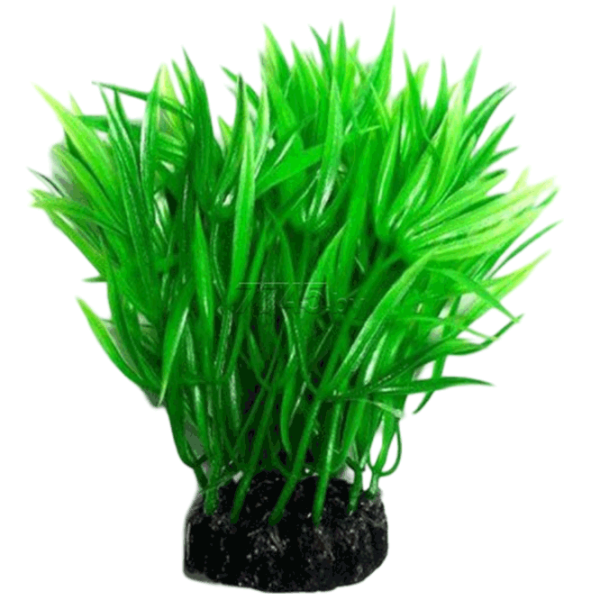 Plante Aquael PR-410 Cantitatea în set - 1 photo 1 Plante Aquael PR-410 Cantitatea în set - 1 photo 1