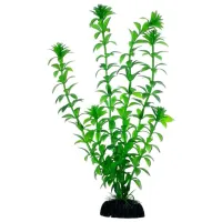 Растения Aquael AP-012 Количество в наборе - 1