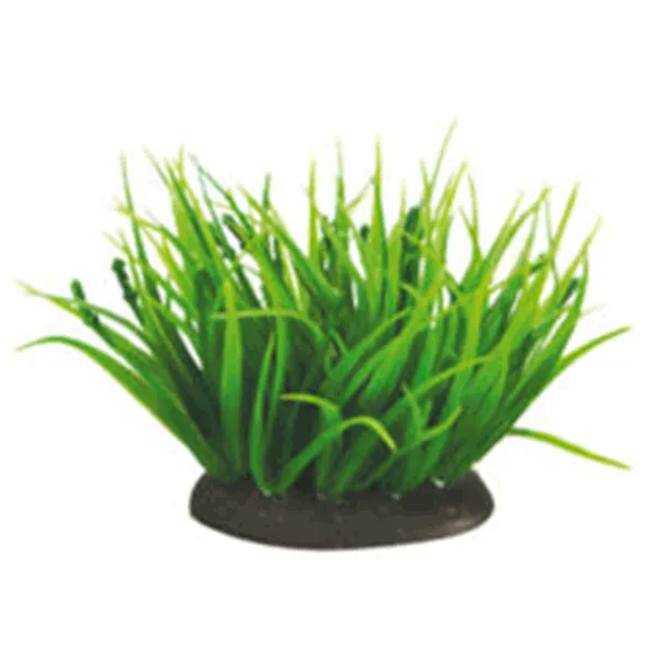 Plante Aquael PR-203 Cantitatea în set - 1 photo 1 Plante Aquael PR-203 Cantitatea în set - 1 photo 1
