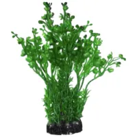 Plante Aquael CP-057 Cantitatea în set - 1