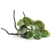 Plante Aquael B2001 Cantitatea în set - 1