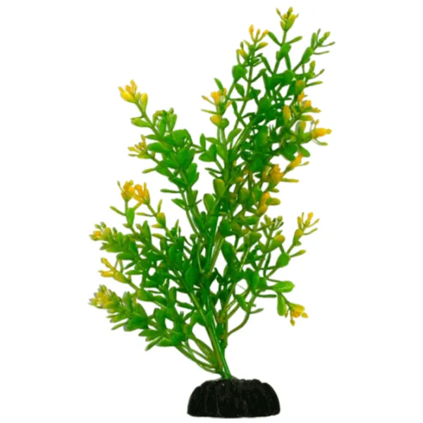 Plante Aquael AP-031 Cantitatea în set - 1 photo 1 Plante Aquael AP-031 Cantitatea în set - 1 photo 1