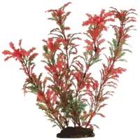 Растения Beeztees 860745 Количество в наборе - 1