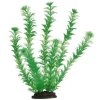 Plante Beeztees 860743 Cantitatea în set - 1