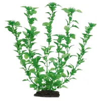 Растения Beeztees 860744 Количество в наборе - 1