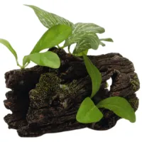 Lemn Beeztees 860601 Cantitatea în set - 1