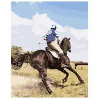 Картина по номерам Strateg Конные соревнования GS288 50 x 40 см / Вертикальная