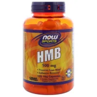 Аминокислоты Now Foods HMB 500mg (733739020543)  