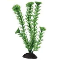 Plante Ferplast CABOMBA Cantitatea în set - 1