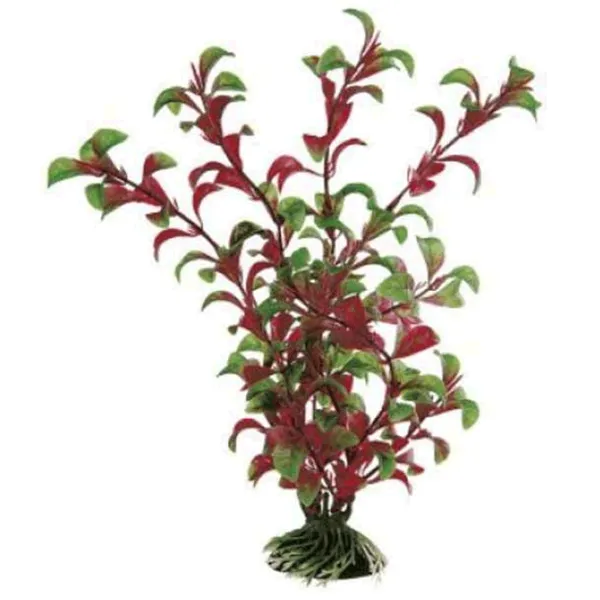 Растения Ferplast ROTALA Количество в наборе - 1 photo 1 Растения Ferplast ROTALA Количество в наборе - 1 photo 1