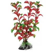 Растения Flamingo ROTALA Количество в наборе - 1